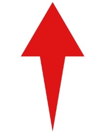 Promotes Muscle And Bones Health